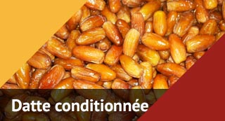 forme-produit-dattes-bio-conditionnees-denoyautees-plat - SED OASIS :  producteur de dattes Deglet Nour en Algérie