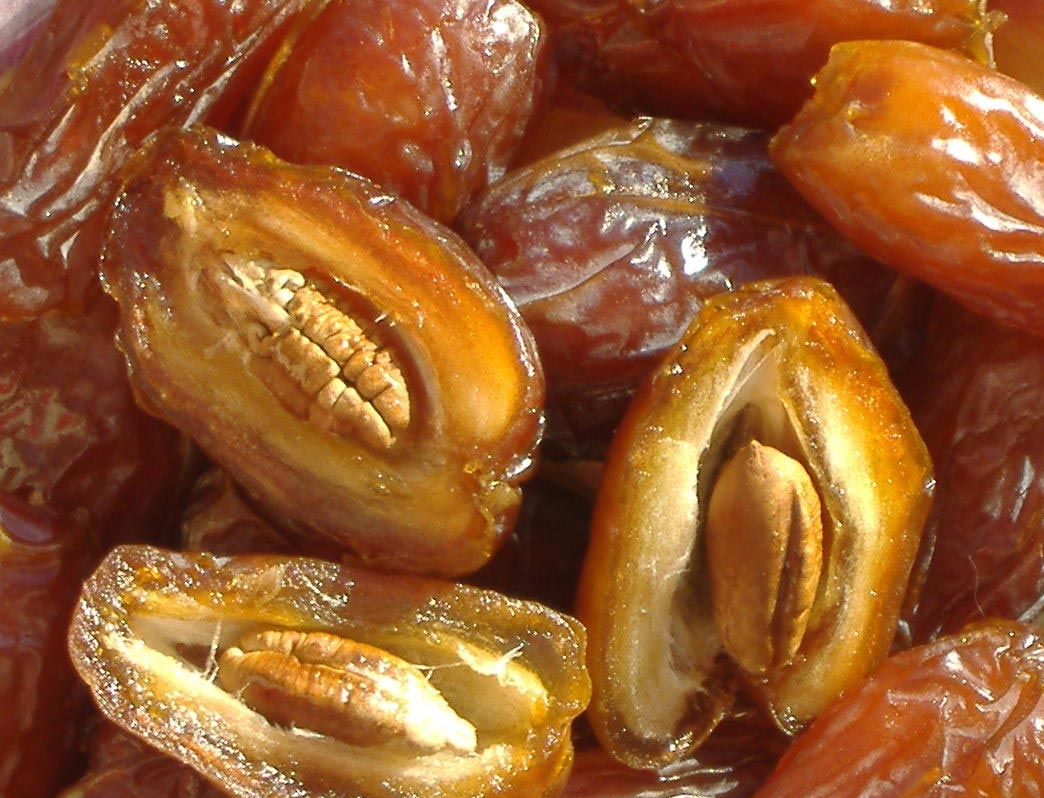 forme-produit-dattes-bio-conditionnees-denoyautees-plat - SED OASIS :  producteur de dattes Deglet Nour en Algérie